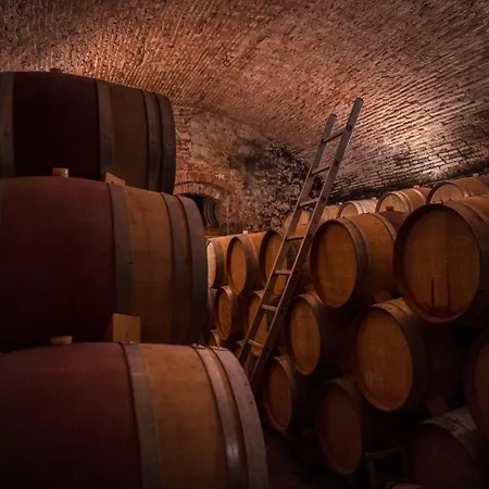 La Fattoria di Rendola-2